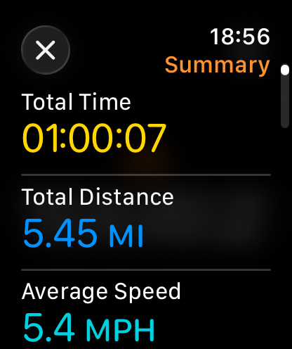 Apple Watch screenshot 3