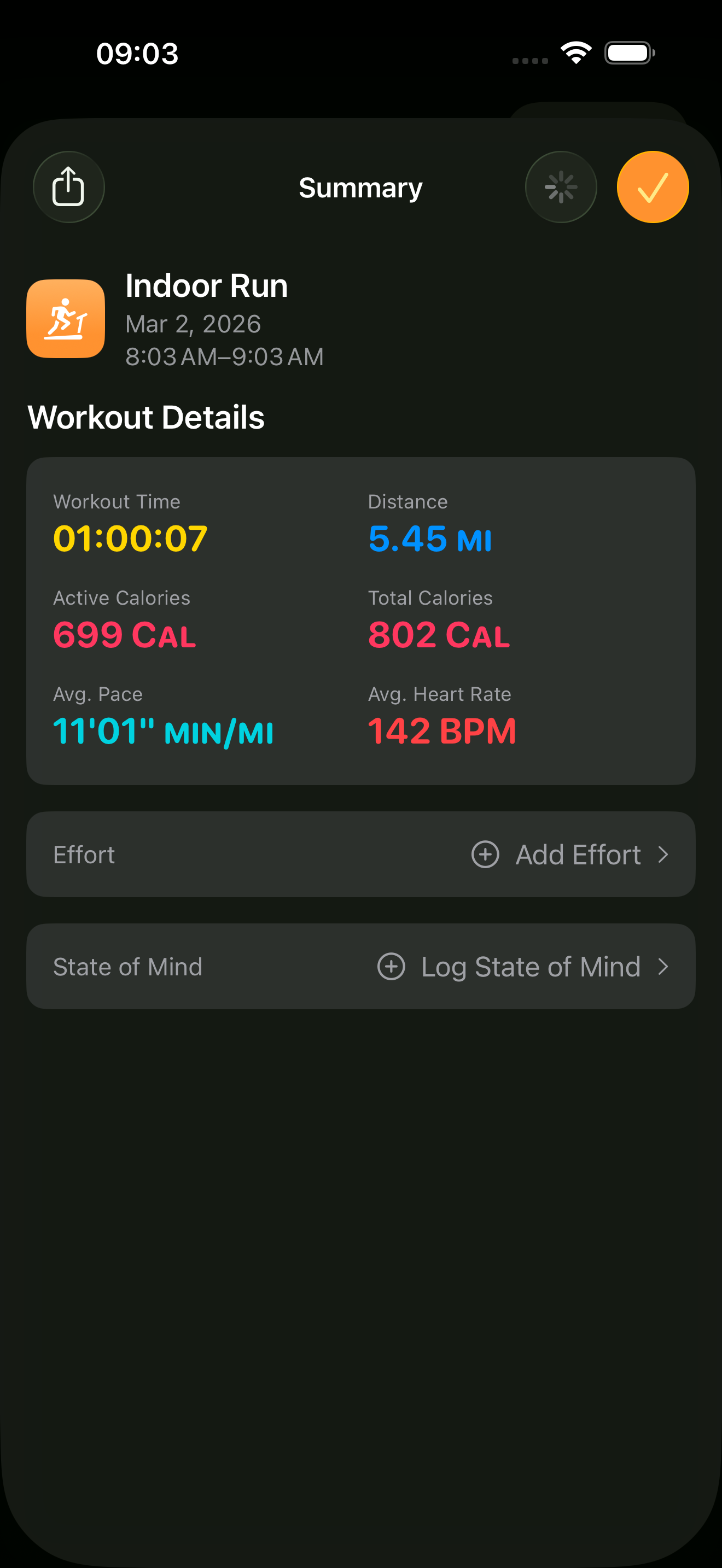 Virtual Treadmill iPhone workout summary screen