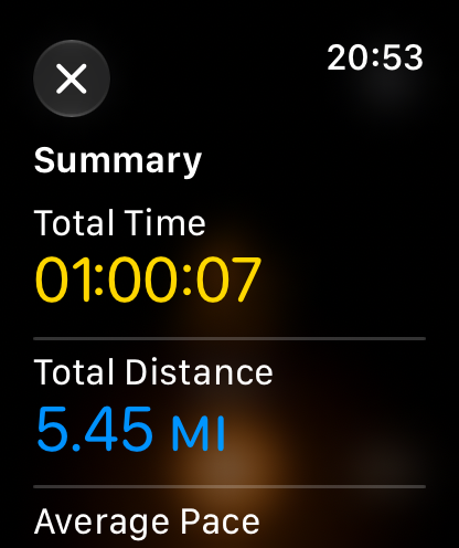 Virtual Treadmill Apple Watch workout summary
